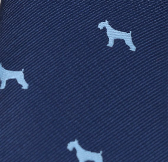 Gravata Menino Azul Cães Reverter