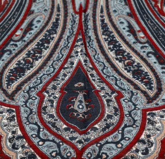 Pashmina Paisley -3