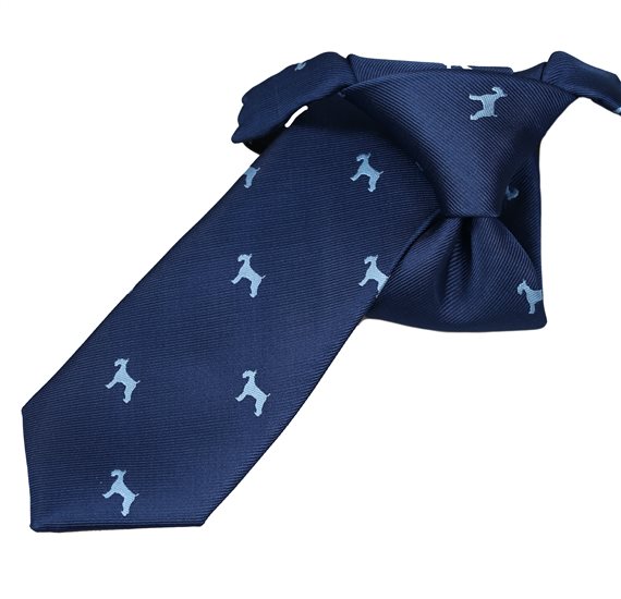 Gravata de Menino Azul com Cães