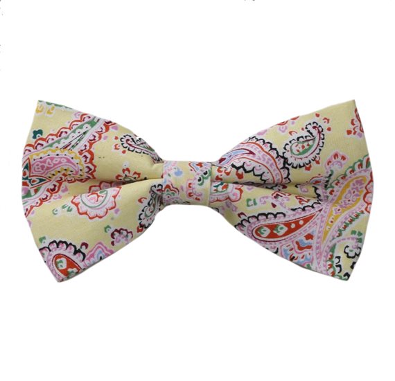 Laço Amarelo com Paisley