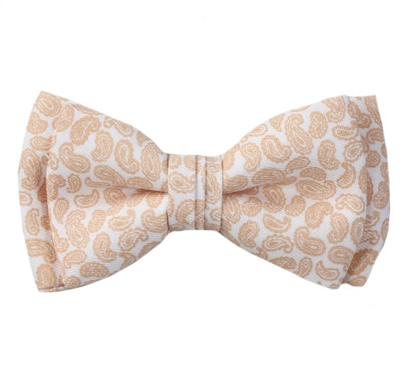 Laço Menino Branco Paisley