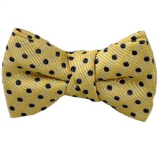 Laço Bebê Amarelo e Bolinhas Azuis