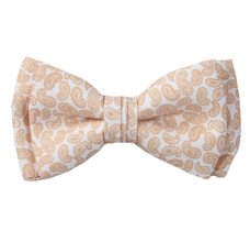 Laço Menino Branco Paisley