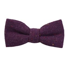 Laço Menino Roxo Jasbied Cores